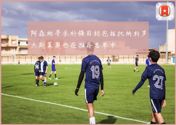 阿森纳寻求补强目标包括托纳利罗杰斯莱奥也在推荐名单中